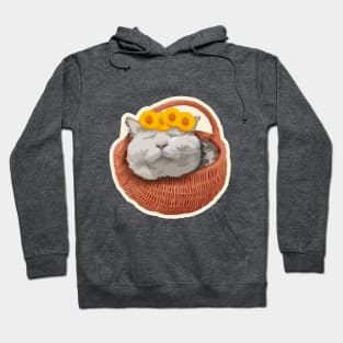 happy cat Hoodie